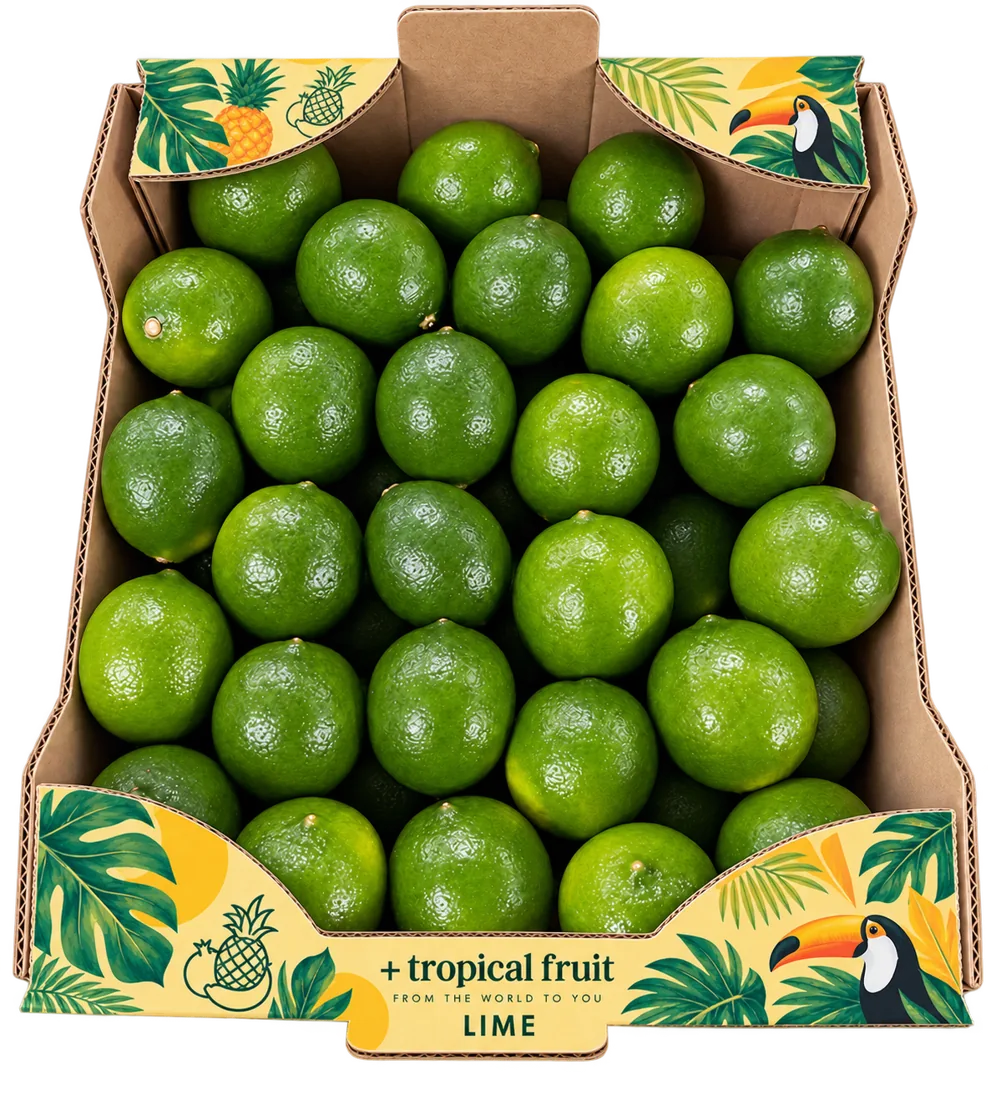 Caja de Lima importada por + tropical fruit