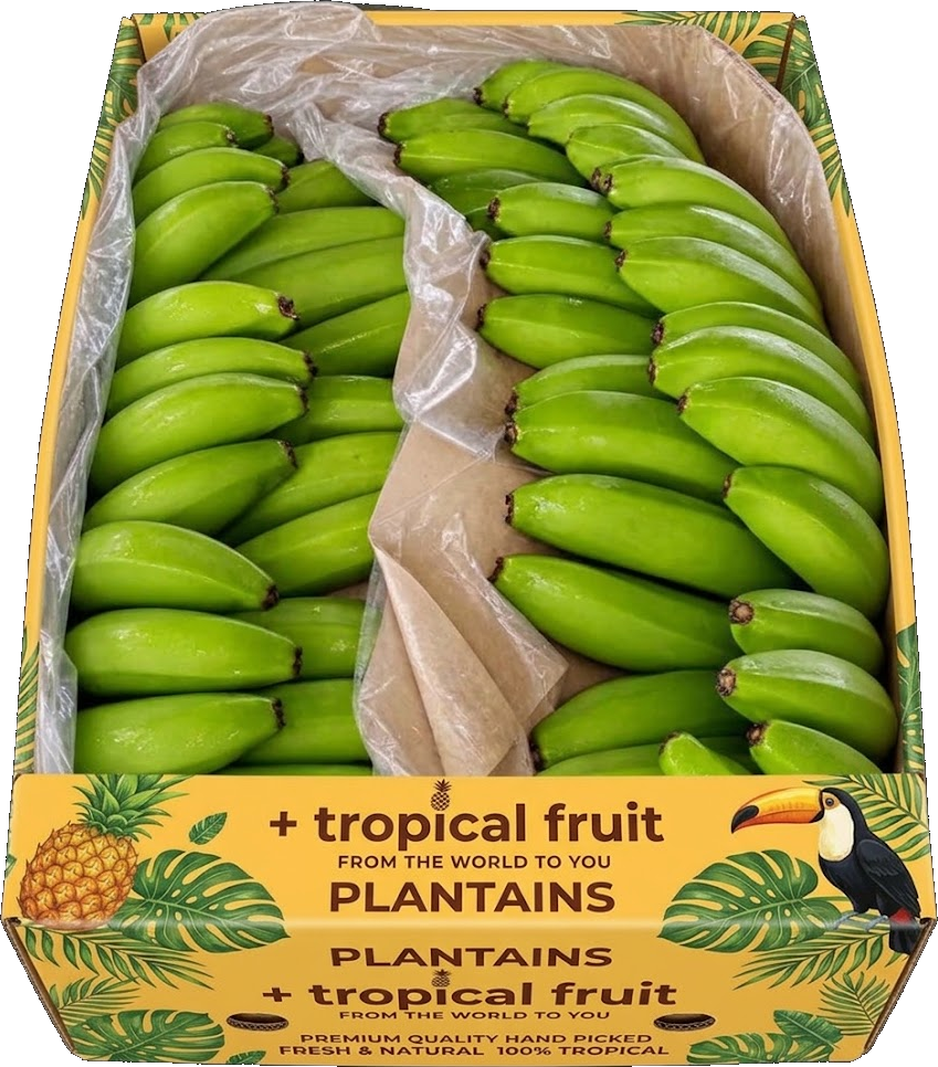 Caja de Banana importada por + tropical fruit
