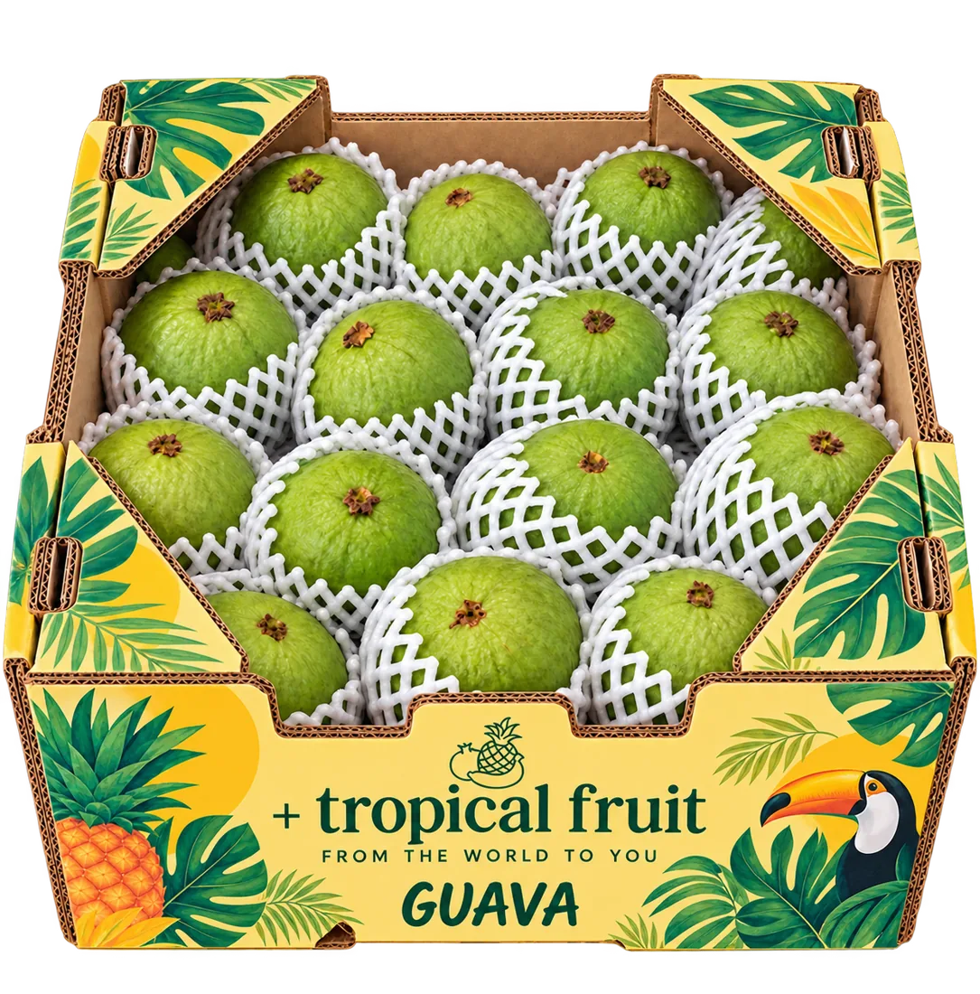 Caja de Guayaba importada por + tropical fruit