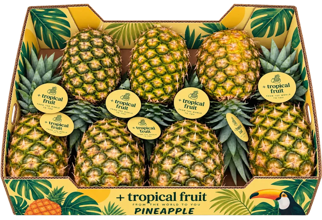 Caja de Piña importada por + tropical fruit