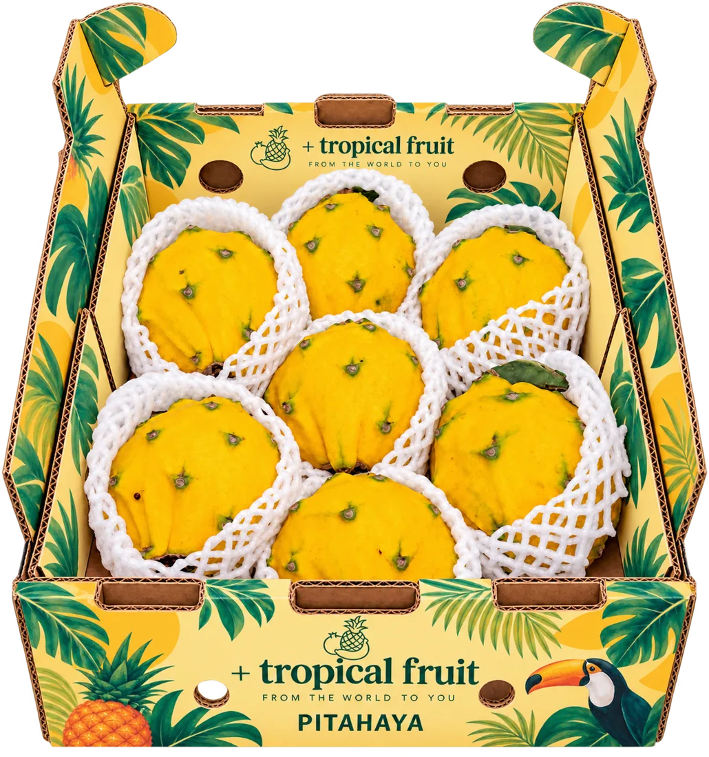 Caja de Pitahaya importada por + tropical fruit